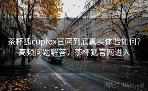 茶杯狐cupfox官网到底真实体验如何？高频问题解答，茶杯狐官网进入