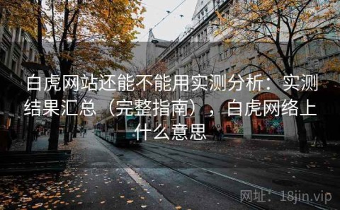白虎网站还能不能用实测分析：实测结果汇总（完整指南），白虎网络上什么意思