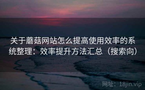 关于蘑菇网站怎么提高使用效率的系统整理：效率提升方法汇总（搜索向）