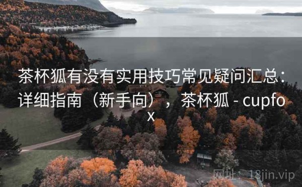 茶杯狐有没有实用技巧常见疑问汇总：详细指南（新手向），茶杯狐 - cupfox