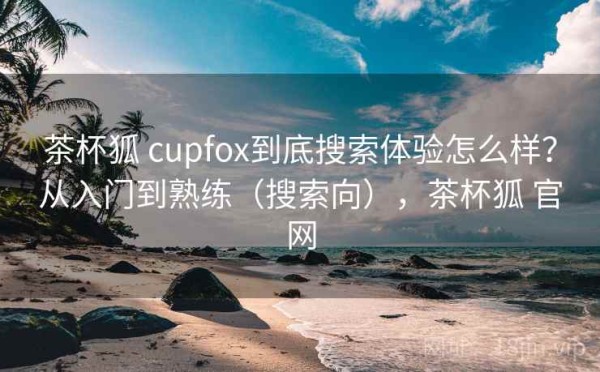 茶杯狐 cupfox到底搜索体验怎么样？从入门到熟练（搜索向），茶杯狐 官网