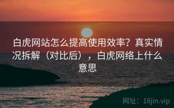 白虎网站怎么提高使用效率？真实情况拆解（对比后），白虎网络上什么意思