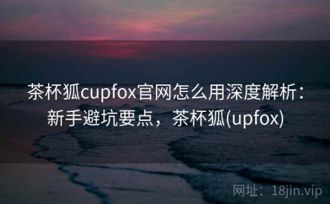 茶杯狐cupfox官网怎么用深度解析：新手避坑要点，茶杯狐(upfox)
