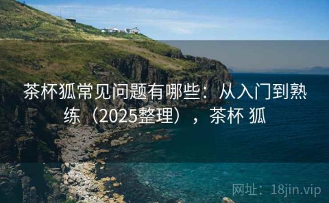 茶杯狐常见问题有哪些：从入门到熟练（2025整理），茶杯 狐