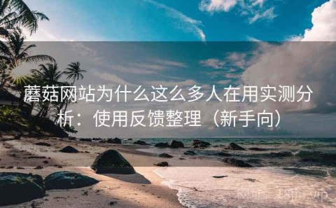 蘑菇网站为什么这么多人在用实测分析：使用反馈整理（新手向）