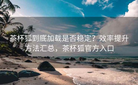 茶杯狐到底加载是否稳定？效率提升方法汇总，茶杯狐官方入口