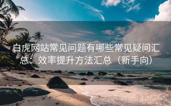 白虎网站常见问题有哪些常见疑问汇总：效率提升方法汇总（新手向）