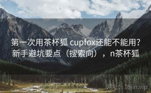第一次用茶杯狐 cupfox还能不能用？新手避坑要点（搜索向），n茶杯狐