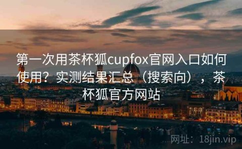 第一次用茶杯狐cupfox官网入口如何使用？实测结果汇总（搜索向），茶杯狐官方网站