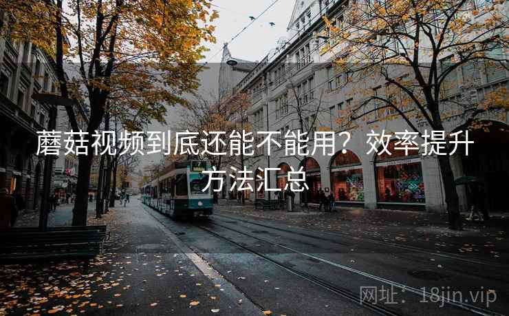 蘑菇视频到底还能不能用？效率提升方法汇总