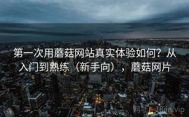 第一次用蘑菇网站真实体验如何？从入门到熟练（新手向），蘑菇网片