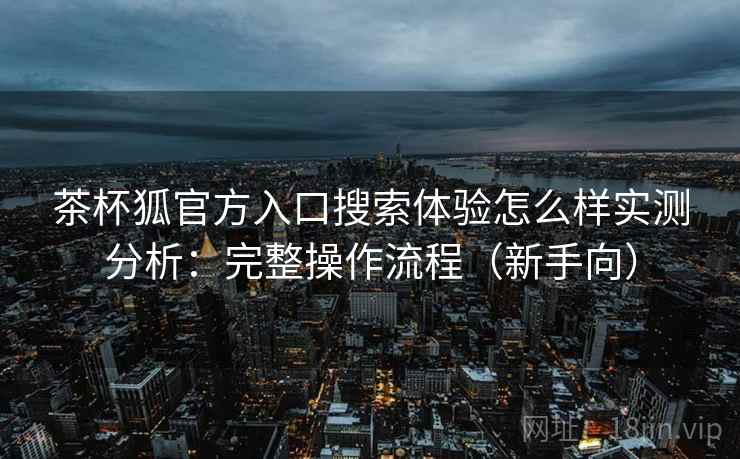 茶杯狐官方入口搜索体验怎么样实测分析：完整操作流程（新手向）