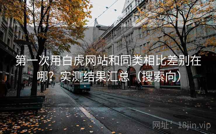 第一次用白虎网站和同类相比差别在哪?实测结果汇总(搜索向) 第一次用白虎网站和同类相比差别在哪?实测结果汇总(搜索向)