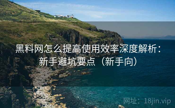 黑料网怎么提高使用效率深度解析：新手避坑要点（新手向）