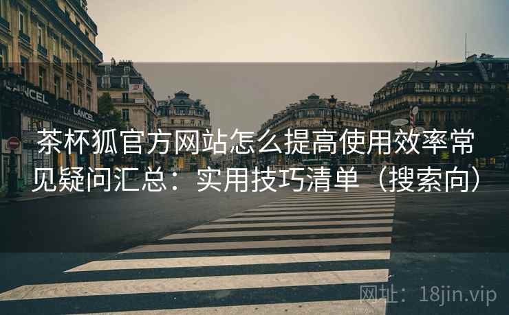 茶杯狐官方网站怎么提高使用效率常见疑问汇总：实用技巧清单（搜索向）